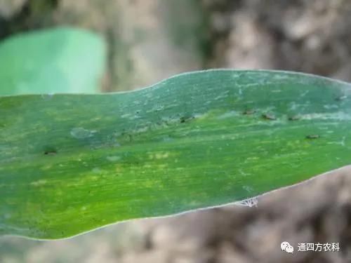 ���הQ����ô�k����ץ�o��Q��Ӱ푮a(ch��n)��!!!